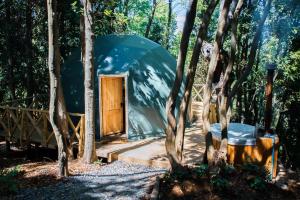 a blue dome tent in the woods with a wooden door at Domos Paseo Nativo in Chillán