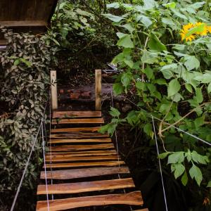 Zahrada ubytování Cabañas La Cima