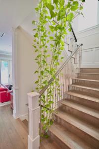 Φωτογραφία από το άλμπουμ του Balaclava Park House close UBC and Downtown στο Βανκούβερ +5 φωτογραφίες