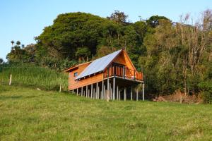 una cabaña de madera en una colina en un campo en Cabaña Indira, en Monteverde