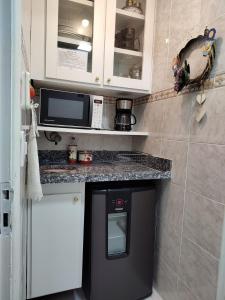 uma pequena cozinha com um micro-ondas e um frigorífico em HOTEL CAVALINHO BRANCO em Águas de Lindoia