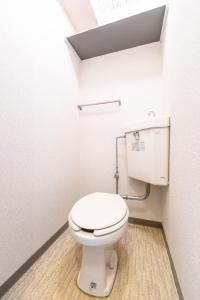a bathroom with a white toilet in a room at E-Horizon北2条 in Sapporo