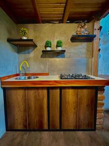 a kitchen with a sink and a counter with plants at Casa del árbol - Mitad del mundo in Quito