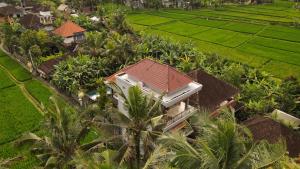 Zahrada ubytování Nirwa 1 Ubud Guesthouse