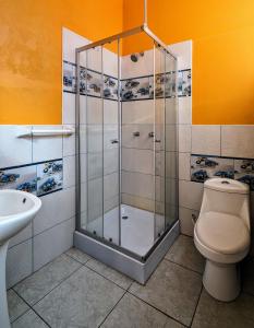 een badkamer met een douche, een toilet en een wastafel bij Amantani Samary Lodge in Ocosuyo