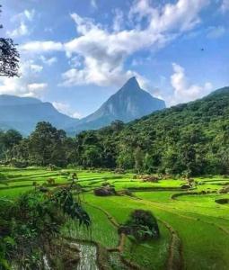 una montagna in lontananza con un campo verde di Eco Lodge Meemure & Adventure Park a Mimure