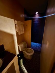 a small bathroom with a toilet and a shower at Casa Fausto’s in Azcorra