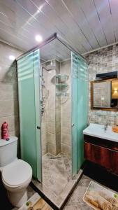 ein Bad mit einer Dusche, einem WC und einem Waschbecken in der Unterkunft F3 millenium in Oran