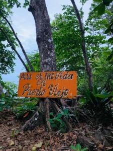 an orange sign is attached to a tree at Finca del Mar Frente la Playa Room 4 in Puerto Viejo