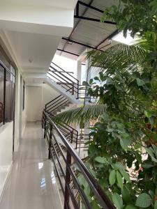 a hallway with stairs and plants in a building at HOSTAL LOS NOGALES in Aguaytía