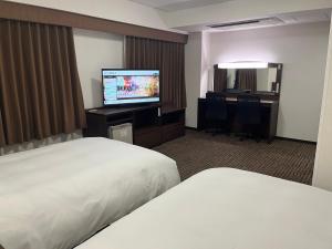 TV a/nebo společenská místnost v ubytování Hotel Alpha-One Kashiwazaki
