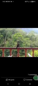 Billede fra billedgalleriet på Hotel y Hostal Mi Reino Represa Prado Tolima i Prado