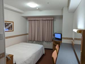 TV a/nebo společenská místnost v ubytování Hotel Alpha-One Yokohama Kannai