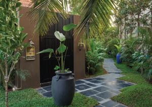 Taman di luar Red Thread Morjim