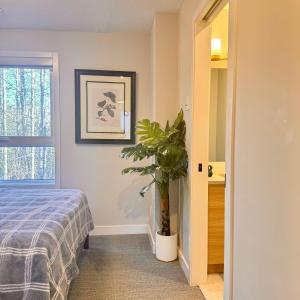 Un dormitorio con una cama y una planta en maceta. en Immersed in the scenery of Canmore, en Canmore