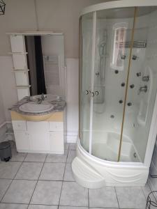 uma casa de banho com um chuveiro, um WC e um lavatório. em Location petite maison em Quillebeuf-sur-Seine