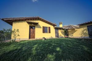 a dog sitting in the yard of a yellow house at Agriturismo I Roseti in Montepulciano