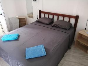 duże łóżko z 2 niebieskimi poduszkami w obiekcie Ô Bercail du Sud-Hibiscus chez Jeannette w mieście Mt Bois Noir