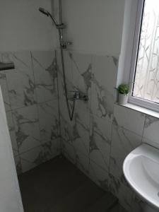 W łazience znajduje się prysznic i umywalka. w obiekcie Ô Bercail du Sud-Hibiscus chez Jeannette w mieście Mt Bois Noir
