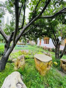 The Kesar Guest House Sumoor外面的花园