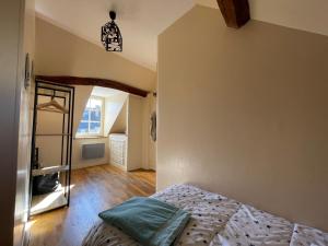 a bedroom with a bed and a mirror at Maison Les Fossiles in Sancerre