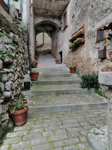 een stenen trap in een gebouw met potplanten bij Tre metr sopra il cielo '' girasoli'' in Felitto