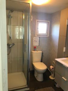 ein Bad mit einem WC, einer Dusche und einem Waschbecken in der Unterkunft BUNGALOW 60 M2 in Roquebrune-sur-Argens