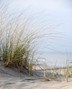 Billede fra billedgalleriet på Luxe Stacaravan Albatros - 51 i Bredene