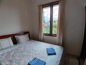 Hotel MBC Ruteng في روتينج: غرفة نوم عليها سرير ووسادتين زرقاوين