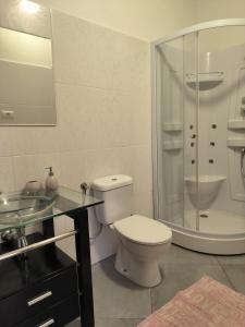 a bathroom with a toilet and a shower and a sink at Apartmens Kimm II in Poreč