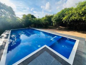 basen w ogrodzie z niebieską wodą w obiekcie Yala Hotel Lion 