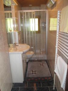 a bathroom with a shower and a sink and a toilet at Ferienhaus Fichtenheim in Prägraten
