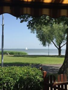 a view of a park with a tree and the ocean at Pamario terasa (Lagoon terrace) in Juodkrantė