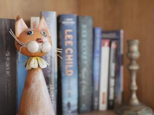 a book shelf with a cat figurine in front of books at La Jabotte in Antibes