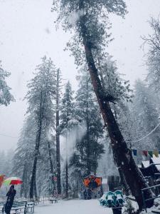 Himtrek Riverside Camps, Kasol v zimě