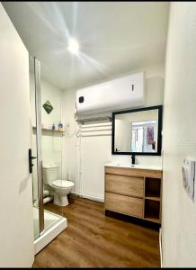 une salle de bain avec toilettes, lavabo et miroir dans l'établissement C la reserve - St Rose Bleu, à Clermont-Ferrand