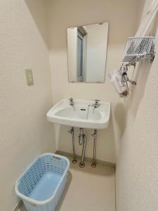 a bathroom with a sink and a mirror and a basket at Neighbor's Hotel 広島駅北口 in Hiroshima