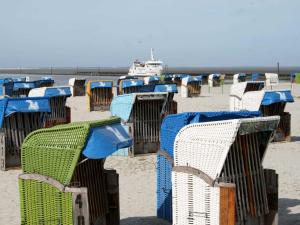 a row of beach chairs on the beach at Ferienhaus Schulte in Carolinensiel