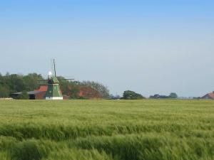 Příroda nedaleko apartmánu