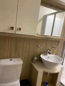 a bathroom with a toilet and a sink and a mirror at No. 40 Golf View in Jedburgh