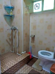 a bathroom with a shower with a toilet in it at Fayz Hotel in Bukhara