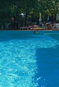 a pool of blue water with a person in it at B&B Brunamonti in Arcevia