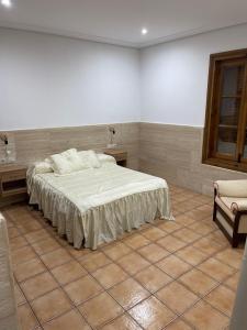 ein Schlafzimmer mit einem großen Bett in einem Zimmer in der Unterkunft Villa privada piscina-tenis in Villarrobledo