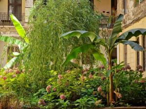 un jardin avec un grand arbre et d'autres plantes dans l'établissement Artlovers' flat - Kazinczy street, à Budapest