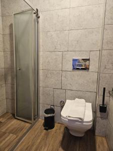 イスタンブールにあるEspinas Hotelのバスルーム(トイレ、ガラス張りのシャワー付)