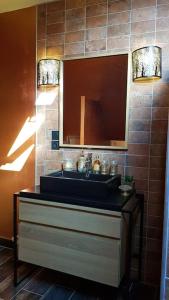 uma casa de banho com um lavatório e um espelho em La Gloriette des Eglantines em Saint-Gervais-la-Forêt
