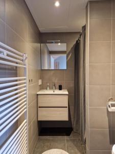 a bathroom with a sink and a mirror at Zoetenaar Zoutelande in Zoutelande