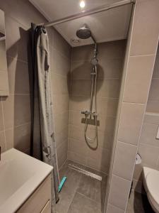 ein Bad mit einer Dusche und einem WC in der Unterkunft Zoetenaar Zoutelande in Zoutelande