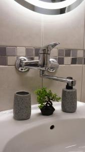 Un lavabo con grifo y dos plantas encima. en Lina's Apartment -Modern & Cozy Central Skopje, en Skopje