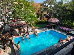a group of people in a swimming pool at Heliport Hostel in Hoi An